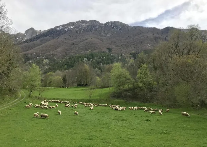 Dom wakacyjny Grand Aoulet Accous